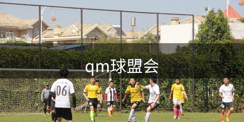 公司优势